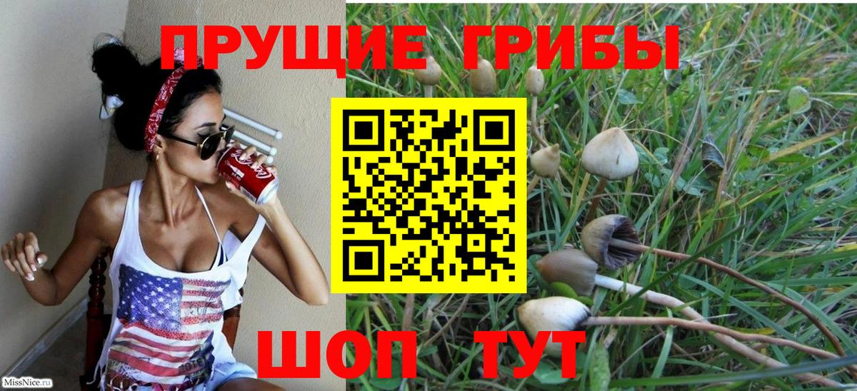 Гусь-Хрустальный  Псилоцибиновые грибы Psilocybine cubensis  Вход с VPN  продажа наркотиков  Галлюциногенные грибы GOLDEN TEACHER 
