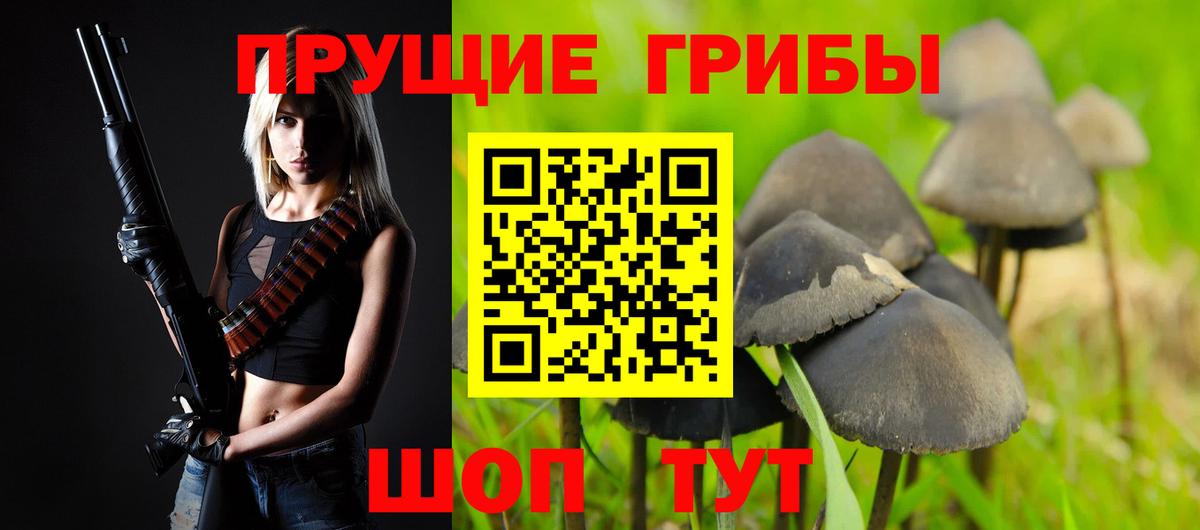 Галлюциногенные грибы Psilocybe Гусь-Хрустальный